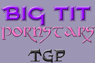 Big Tits Pornstars