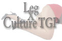 Leg x culture